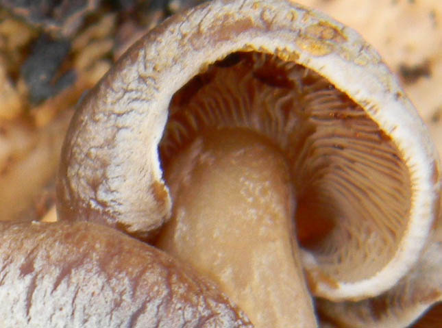 Fotografato il 21.12.2010.